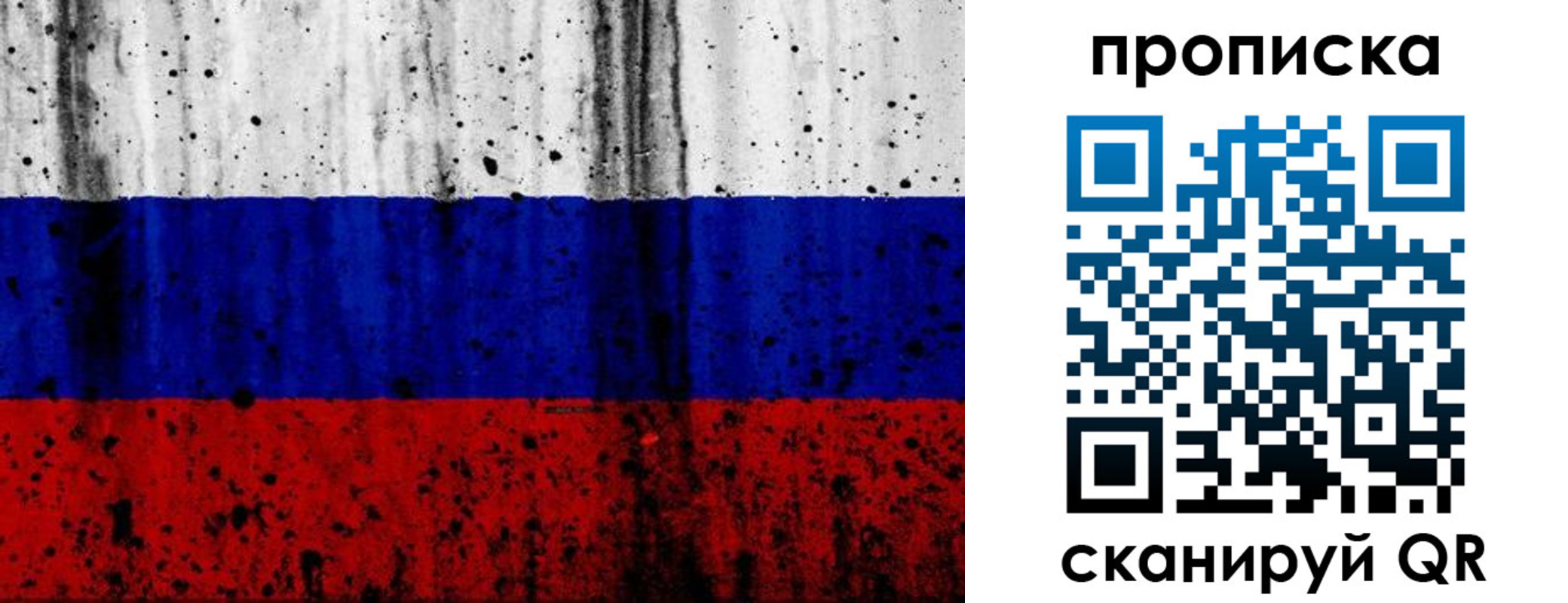 прописка поиск в Волоколамске